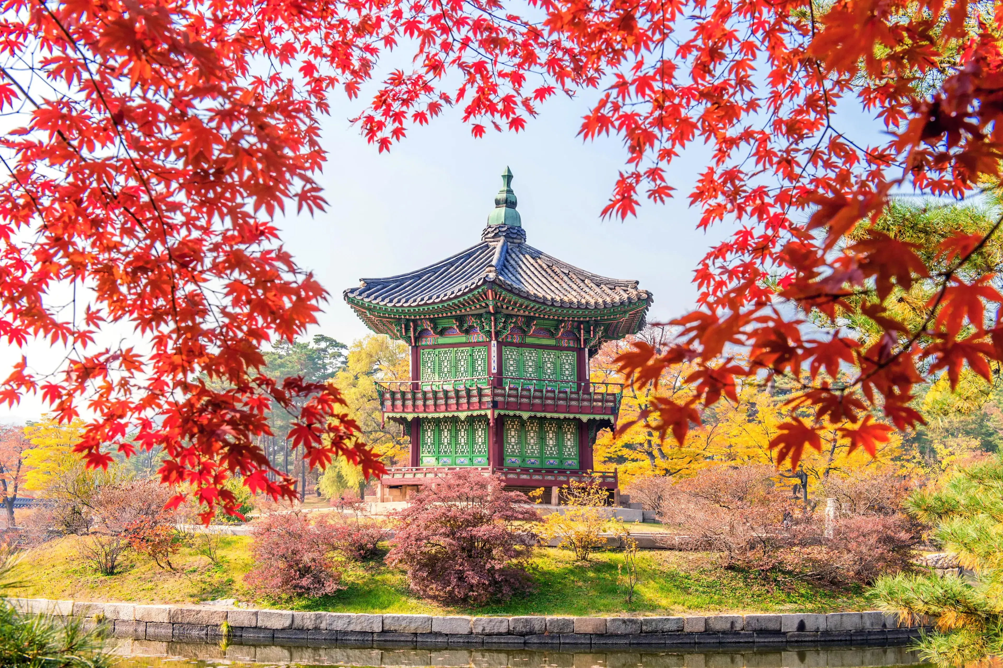 gyeongbukgung-maple-tree